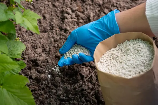 Adubos Naturais para Manter Hortas Verticais Sempre Saudáveis