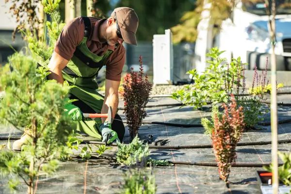 Como Montar um Sistema de Irrigação Automática em Hortas Verticais