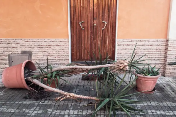 Hortas Verticais para Varandas: Como Proteger suas Plantas do Vento