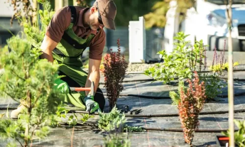 Como Montar um Sistema de Irrigação Automática em Hortas Verticais