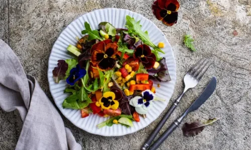 Flores Comestíveis: Como Cultivá-las na Sua Horta Vertical